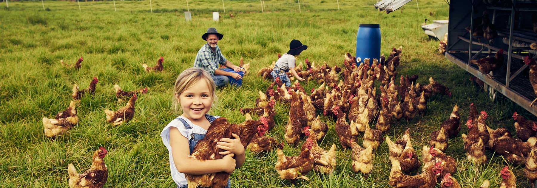 Des enfants s'occupent des poules, un fermier les surveille.