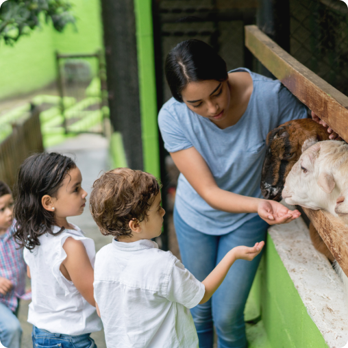 enfants qui nourrissent des moutons