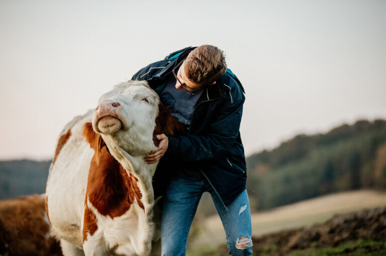 Fermier qui s'occupe de sa vache