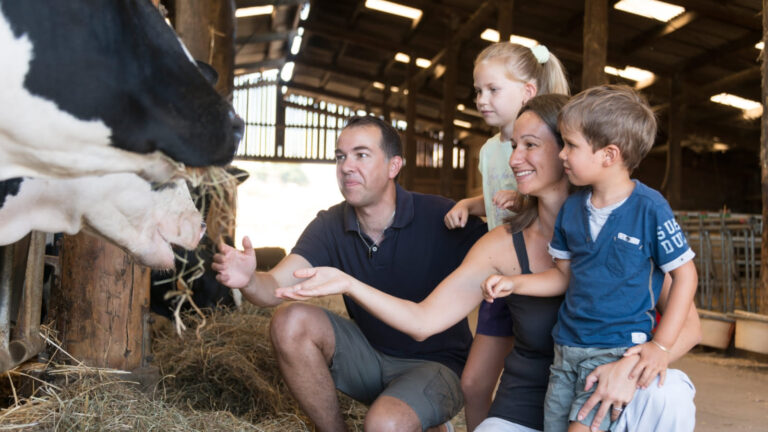 Famille devant une vache